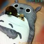 - Big Huge Cute Models 230cm Totoro Bed Sleeping..